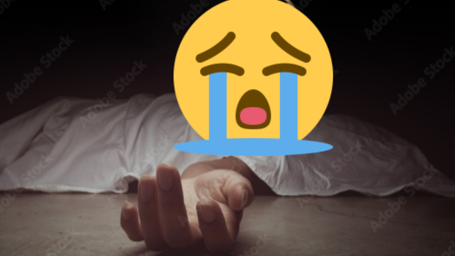 InShot_20250105_212500287